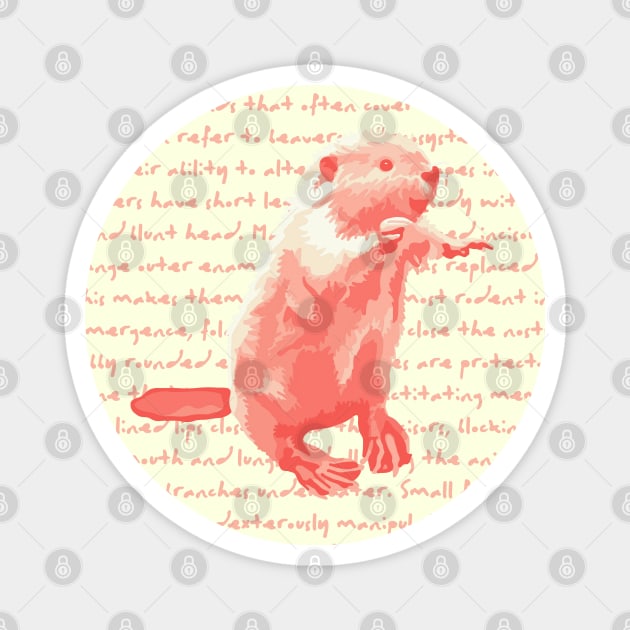 Peachy Beaver Info Magnet by Slightly Unhinged